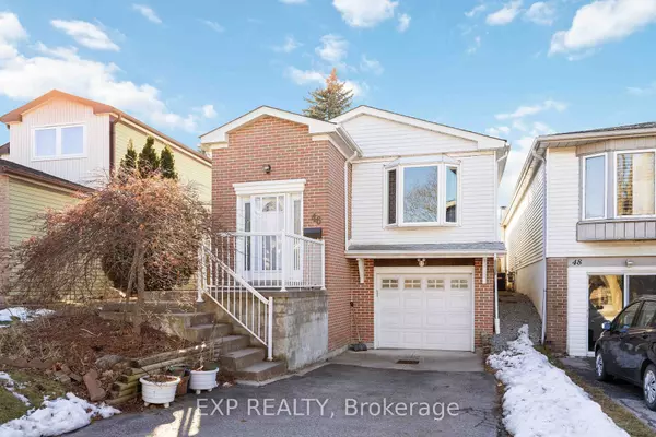 Living on Snowshoe Crescent, Thornhill: Why I Know This Street Best