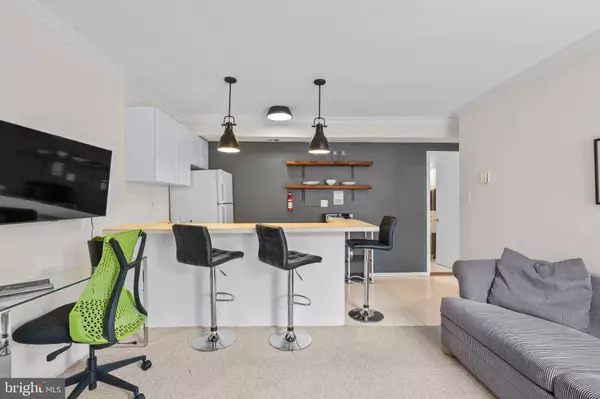 2515 P ST NW #302, Washington, DC 20007