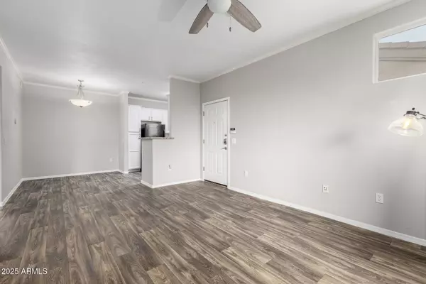 29606 N TATUM Boulevard #245, Cave Creek, AZ 85331