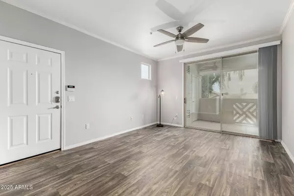 29606 N TATUM Boulevard #245, Cave Creek, AZ 85331