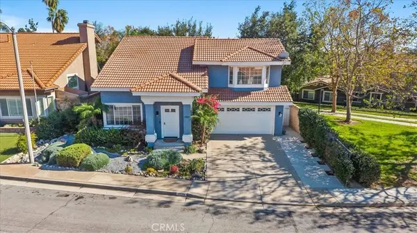 11529 Palm Meadows
