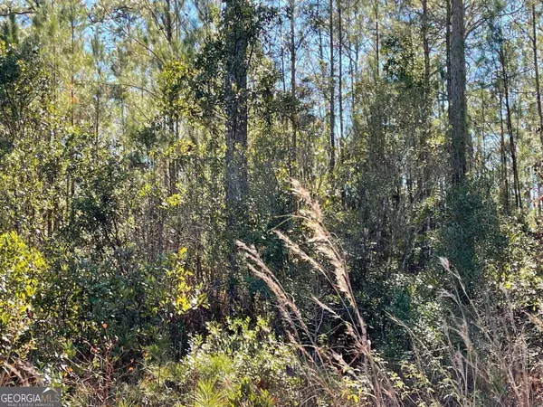 0 Landing TRL, Waynesville, GA 31566