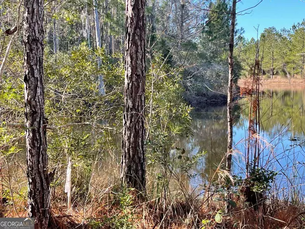 0 Landing TRL, Waynesville, GA 31566