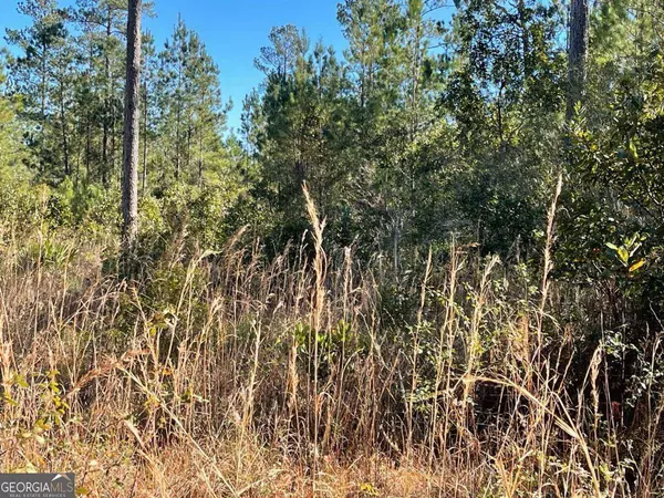 0 Landing TRL, Waynesville, GA 31566