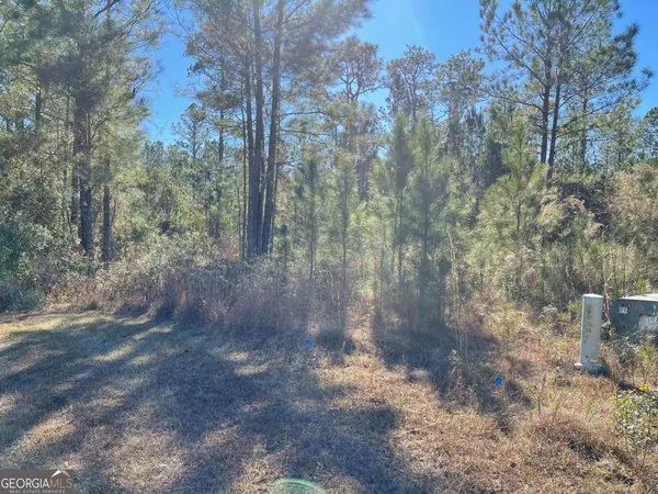 0 Landing TRL, Waynesville, GA 31566