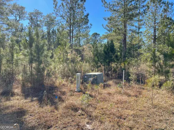 0 Landing TRL, Waynesville, GA 31566