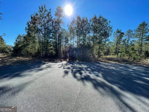 0 Landing TRL, Waynesville, GA 31566