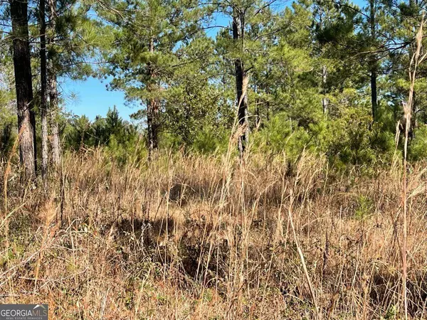 0 Landing TRL, Waynesville, GA 31566