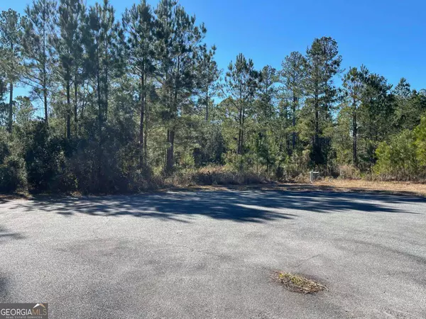 0 Landing TRL, Waynesville, GA 31566