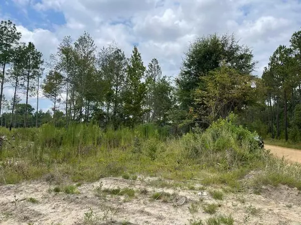 00 Gooch Rd - Lot C, Eastman, GA 31023