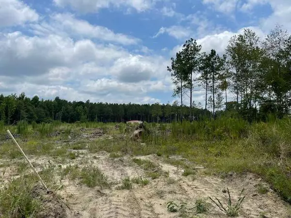 00 Gooch Rd - Lot C, Eastman, GA 31023