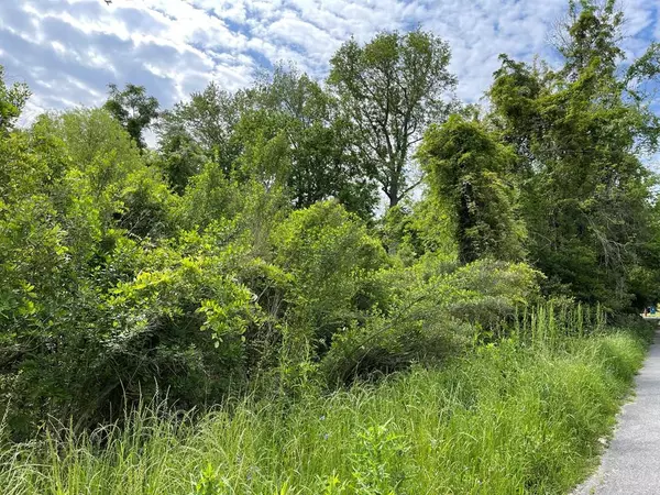 209 Lively St, Vidalia, GA 30474