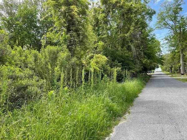 209 Lively St, Vidalia, GA 30474