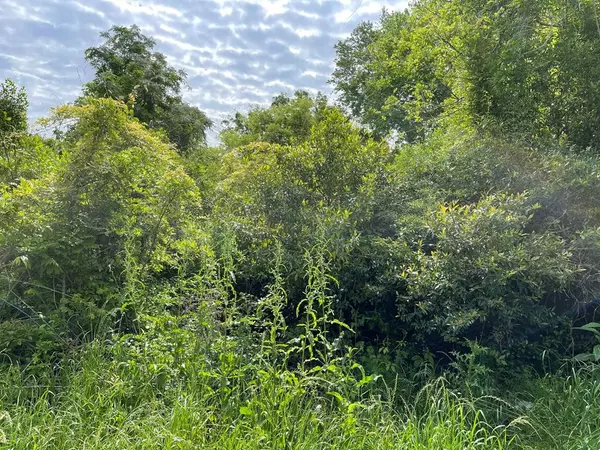 209 Lively St, Vidalia, GA 30474