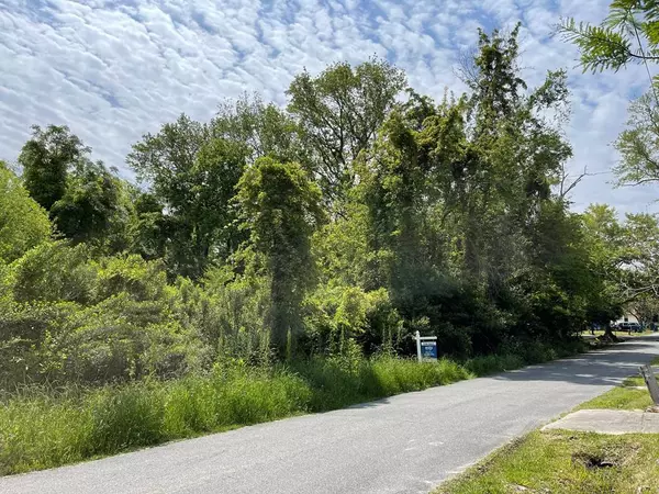 209 Lively St, Vidalia, GA 30474