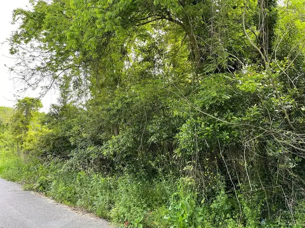 209 Lively St, Vidalia, GA 30474