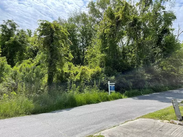 209 Lively St, Vidalia, GA 30474