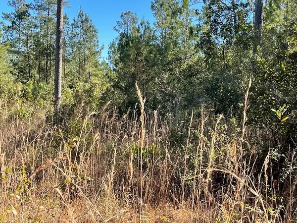 0 Landing Trail, Waynesville, GA 31566