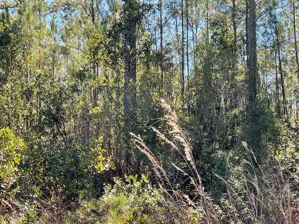 0 Landing Trail, Waynesville, GA 31566