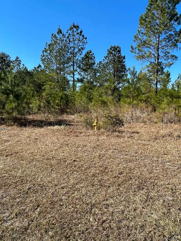 0 Landing Trail, Waynesville, GA 31566