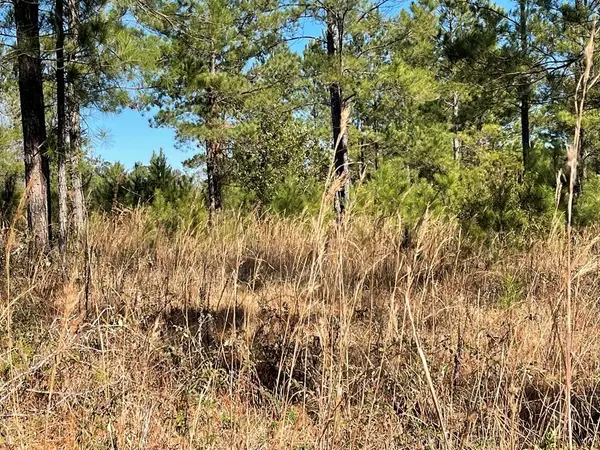 0 Landing Trail, Waynesville, GA 31566