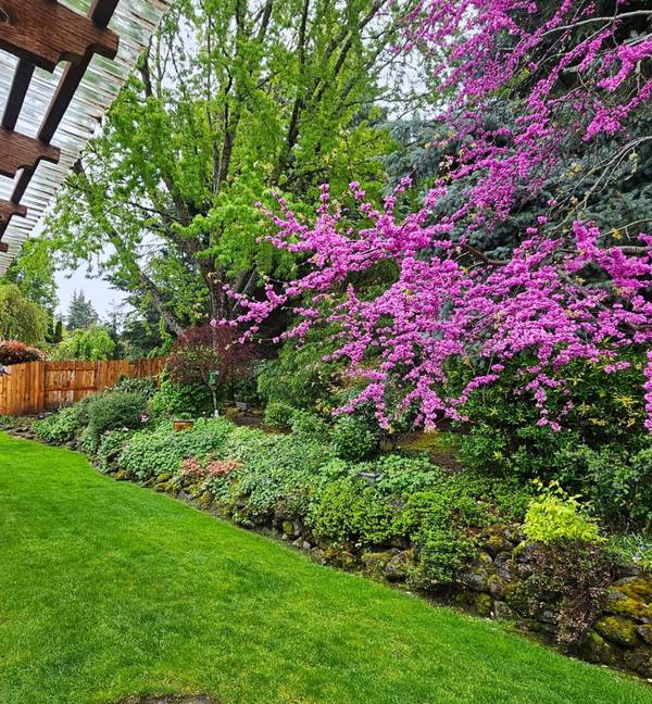 4442 Hillcrest RD, Medford, OR 97504