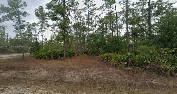 1301 James Avenue, Lehigh Acres, FL 33972