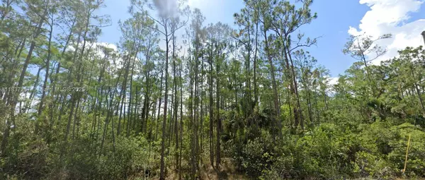 1903 Weller Ave, Lehigh Acres, FL 33972