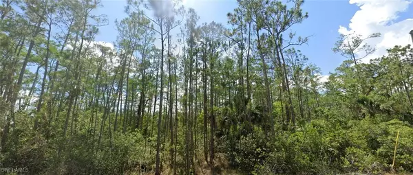 1903 Weller AVE, Lehigh Acres, FL 33972