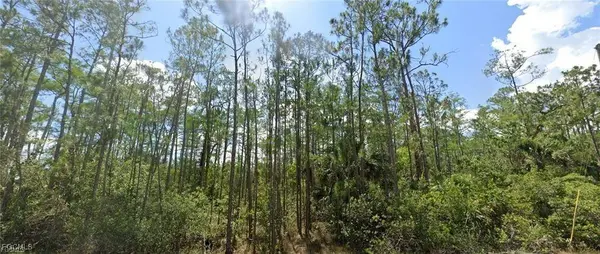 1903 Weller AVE, Lehigh Acres, FL 33972