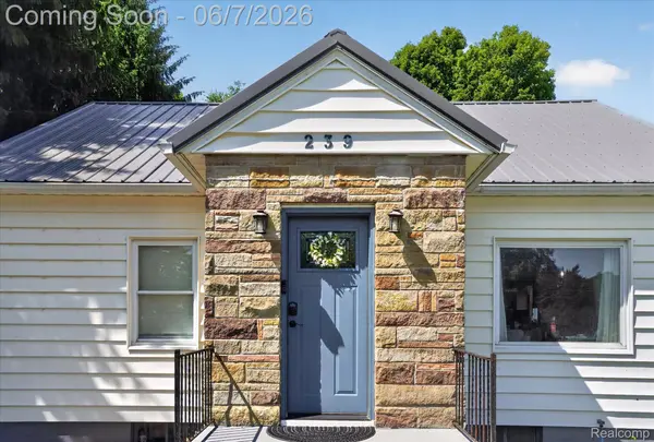 239 E Chestnut ST, Webberville Village, MI 48892