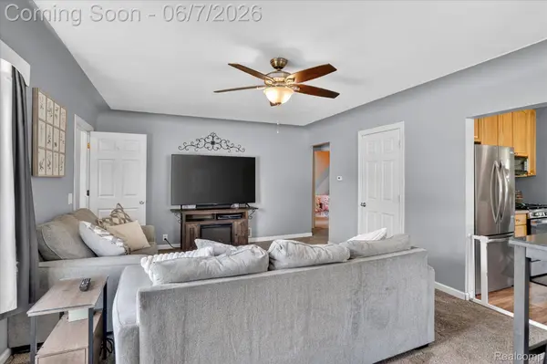 239 E Chestnut ST, Webberville Village, MI 48892