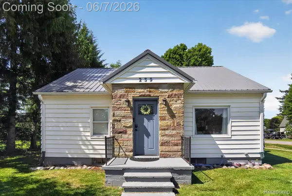 239 E Chestnut ST, Webberville Village, MI 48892
