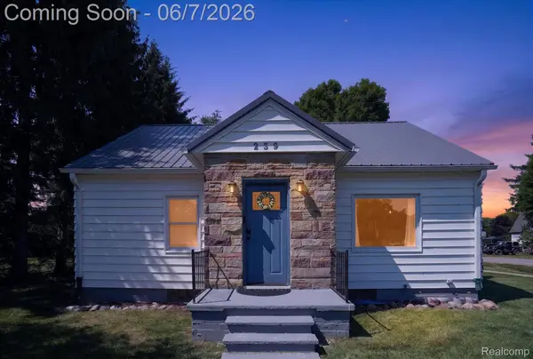 239 E Chestnut ST, Webberville Village, MI 48892