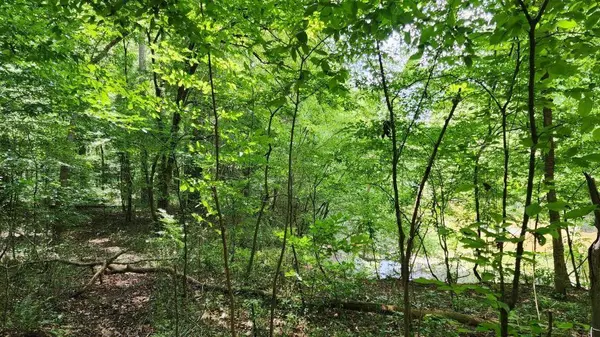 6670 Old Ferry CT, Douglasville, GA 30135