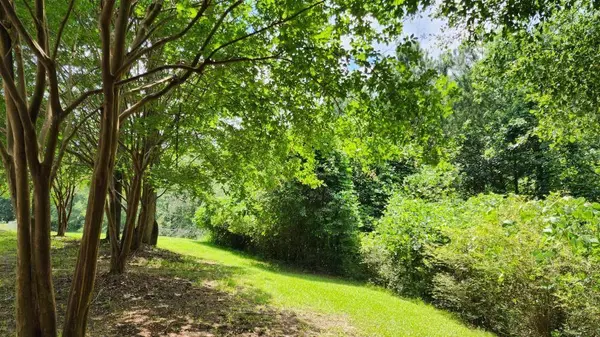 6670 Old Ferry CT, Douglasville, GA 30135