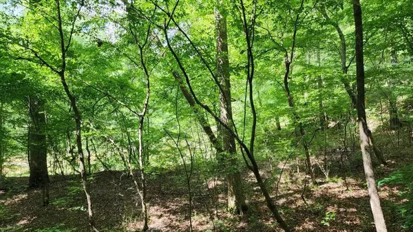 6670 Old Ferry CT, Douglasville, GA 30135