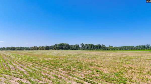 0 Joes Trail, Monetta, SC 29105