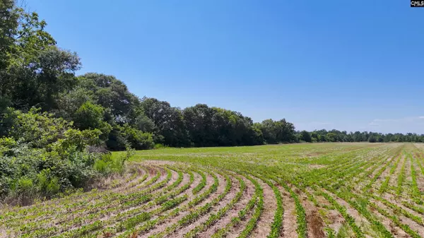 0 Joes Trail, Monetta, SC 29105