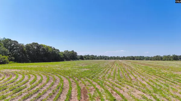 0 Joes Trail, Monetta, SC 29105