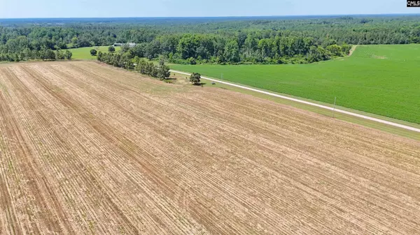 0 Joes Trail, Monetta, SC 29105