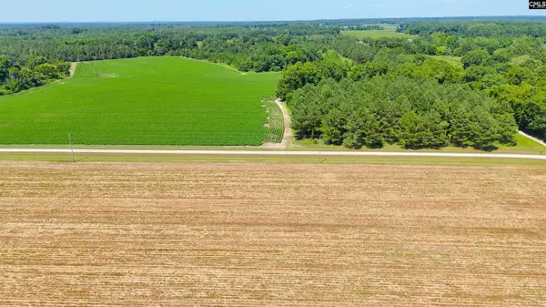 0 Joes Trail, Monetta, SC 29105