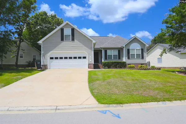 230 Elm Creek Court, Chapin, SC 29036