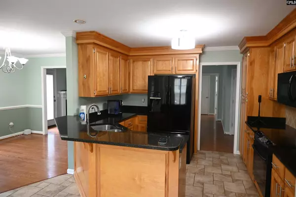 230 Elm Creek Court, Chapin, SC 29036