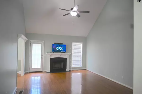 230 Elm Creek Court, Chapin, SC 29036