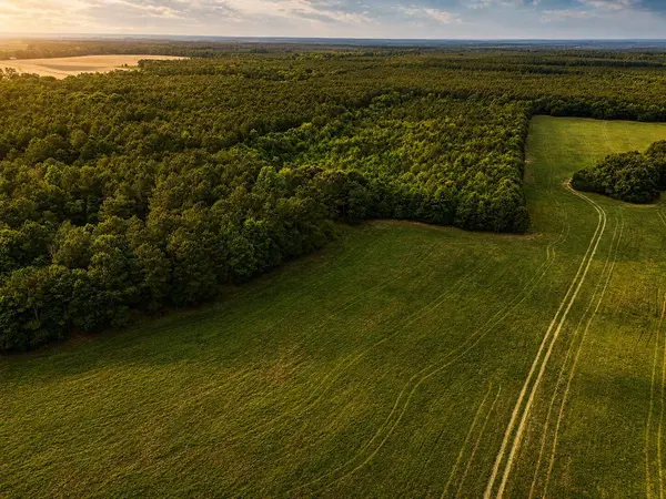 0 Us 278 Highway, Barnwell, SC 29812