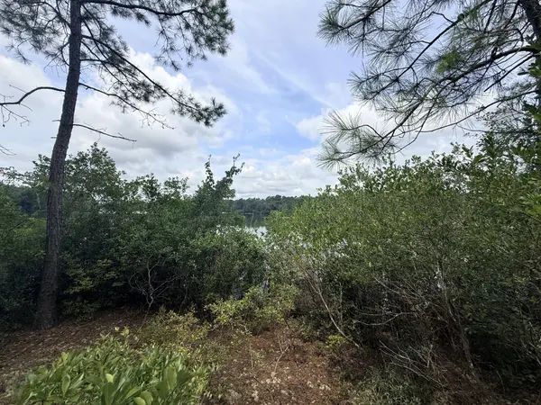 731 Edisto Lake Road, Wagener, SC 29164
