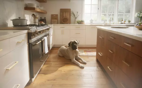 feature image of Downsizing 101 Part 2