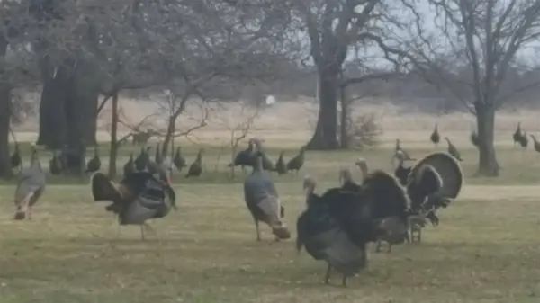 912 NW Apache, Lawton, OK 73507