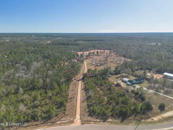 49 Clear Lake Road, Perkinston, MS 39573